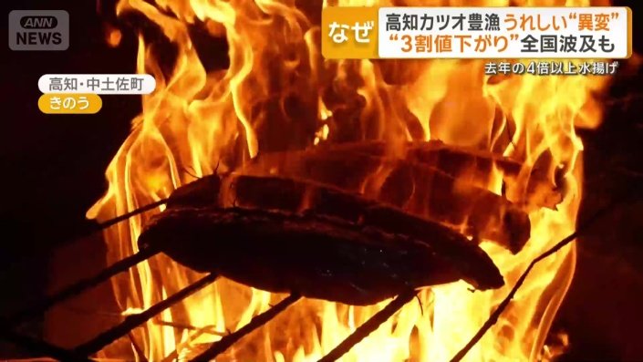 初ガツオ