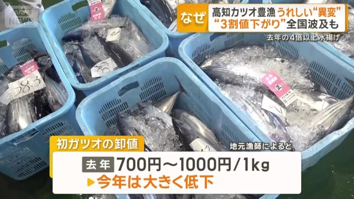 初ガツオの卸値