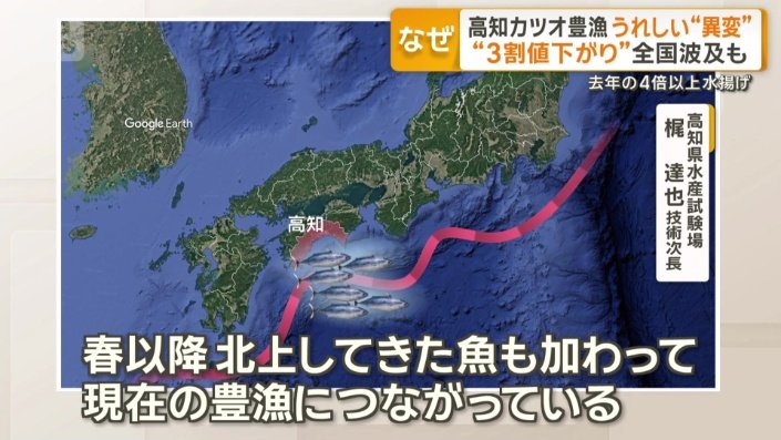 なぜ、異例の豊漁？
