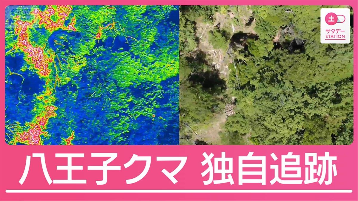 全国各地で市街地に“異常出没”なぜ？八王子のクマをドローンで“独自追跡”