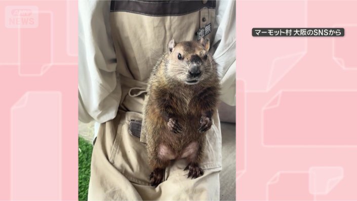 またまたフリーズ