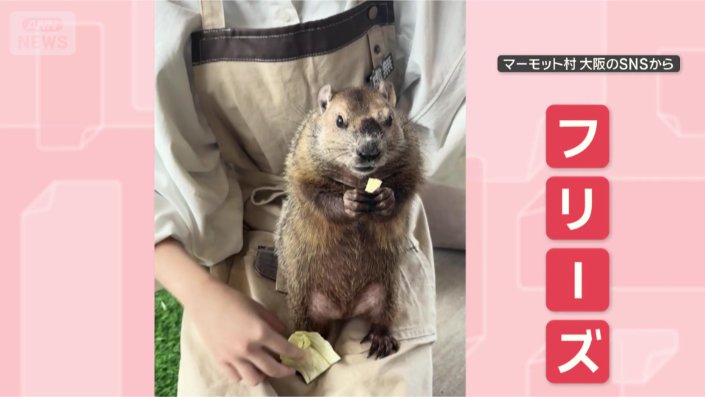 突然フリーズ