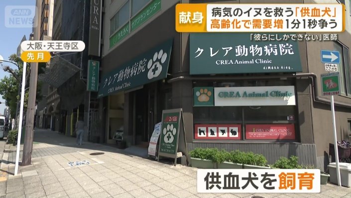 大阪市のクレア動物病院