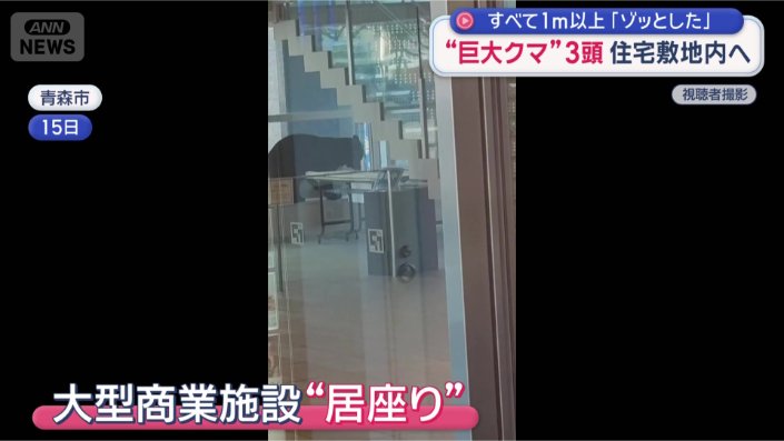 青森市