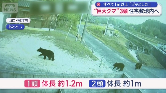 山口県柳井市の住宅