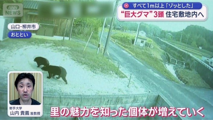 「間違いなく親子」
