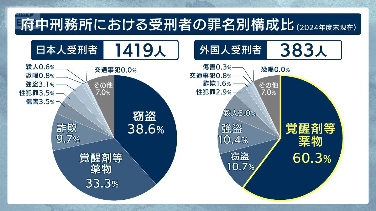 府中刑務所における受刑者の罪名別構成比（2024年度末現在）