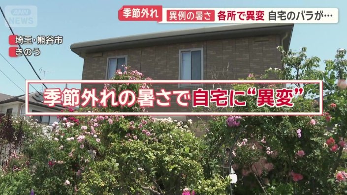 季節外れの暑さで、自宅に異変