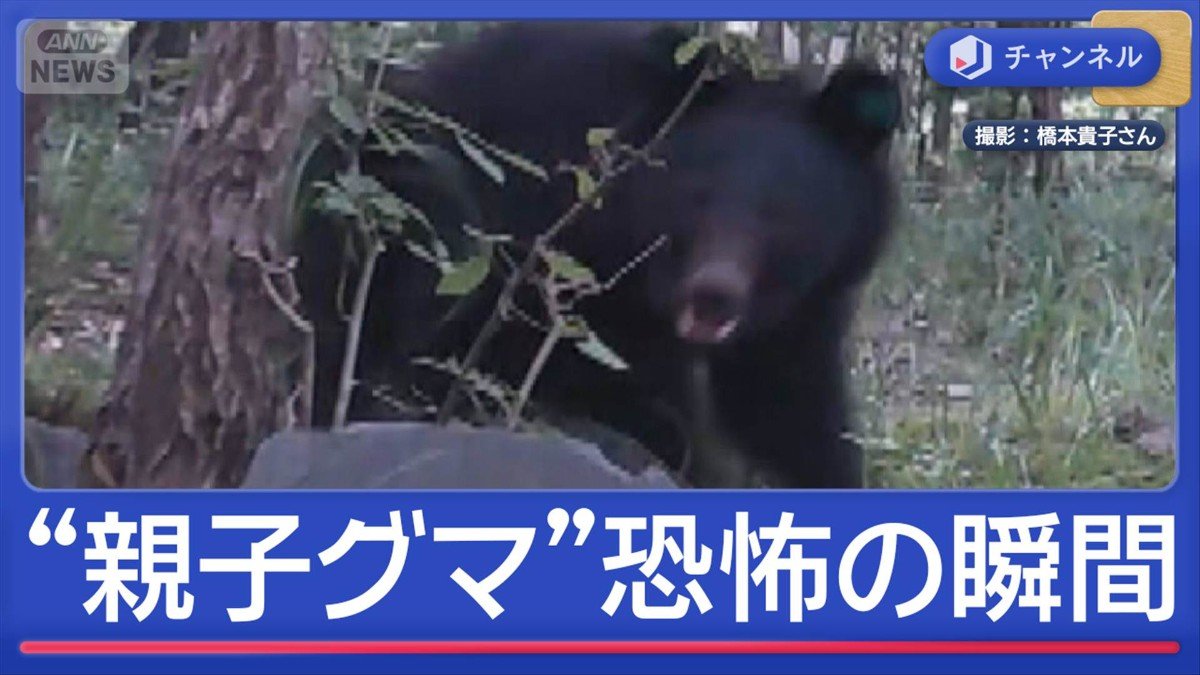 画像まとめ】各地で“親子グマ” 襲われた当事者語る「恐怖の瞬間」