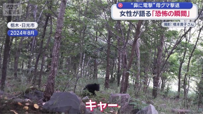 子連れの母グマに襲われた