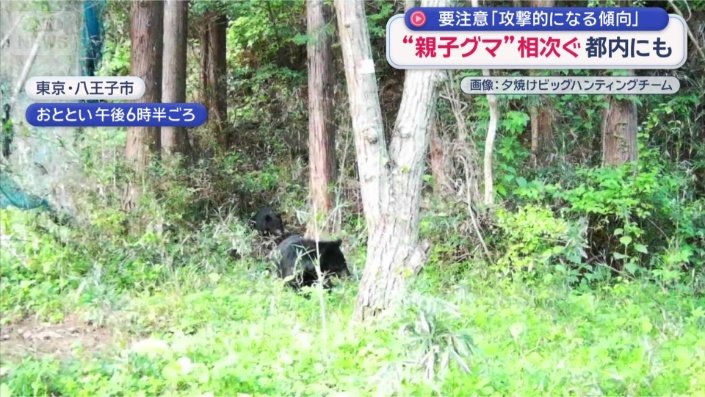 親子がカメラに…