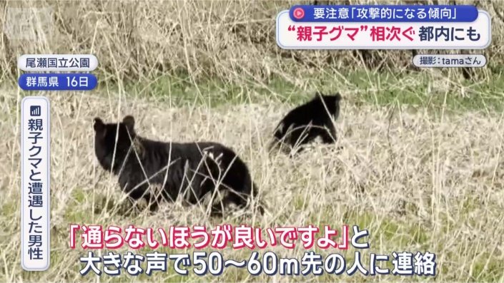 各地で“親子グマ” 襲われた当事者語る「恐怖の瞬間」