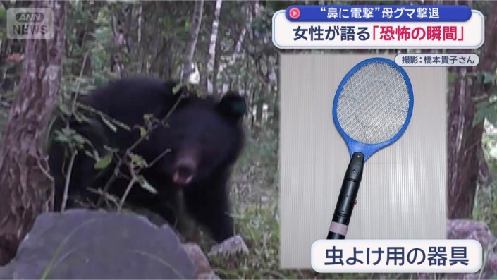虫よけ用の器具をクマの鼻に