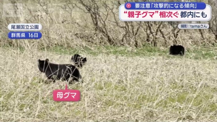 尾瀬国立公園