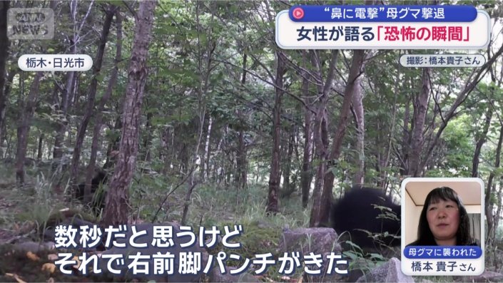 「2度目の突進で目の前に」