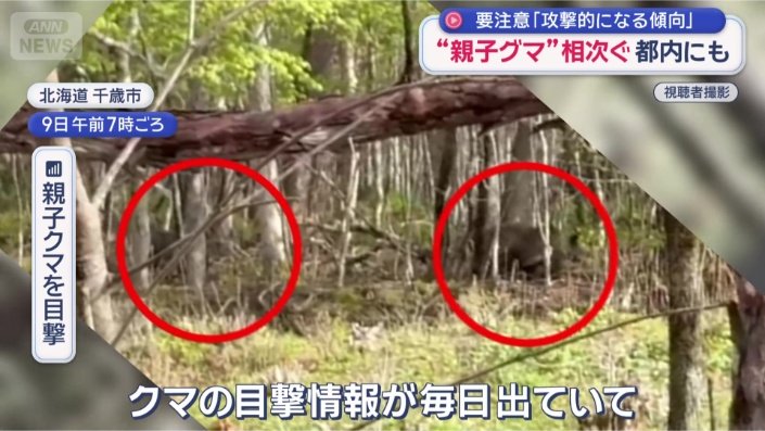 各地で“親子グマ” 襲われた当事者語る「恐怖の瞬間」