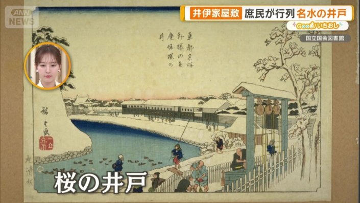 桜の井戸