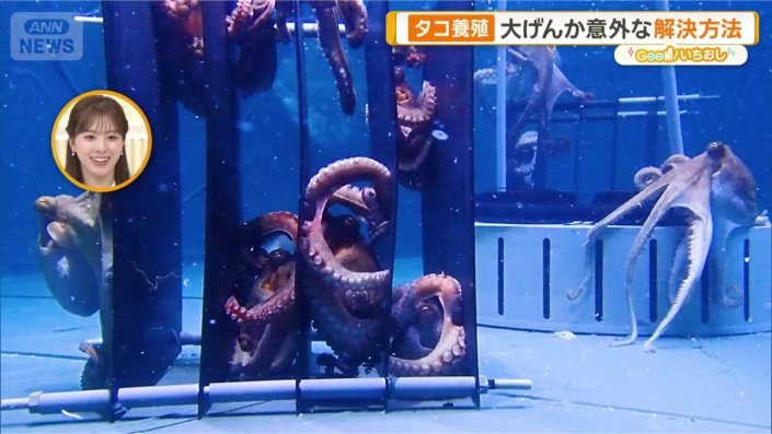 仕切り板を設置