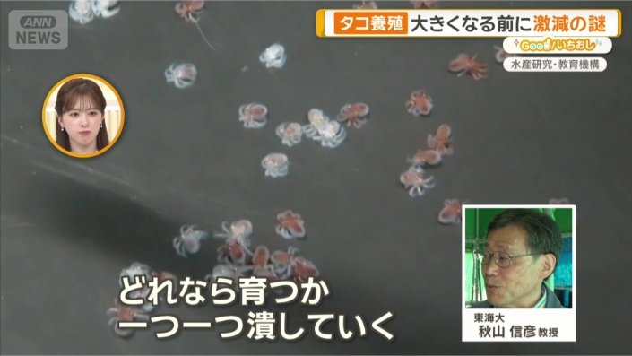 「結局生き残るのが数匹に」
