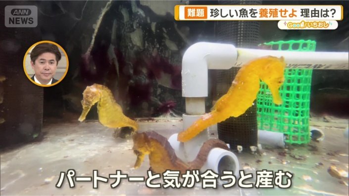 「相性」がある？