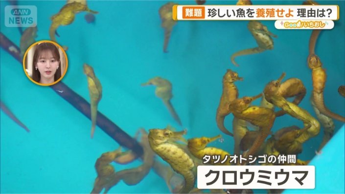 ワシントン条約で商取引が制限