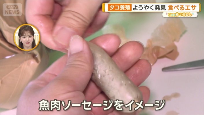 新たな餌を独自開発