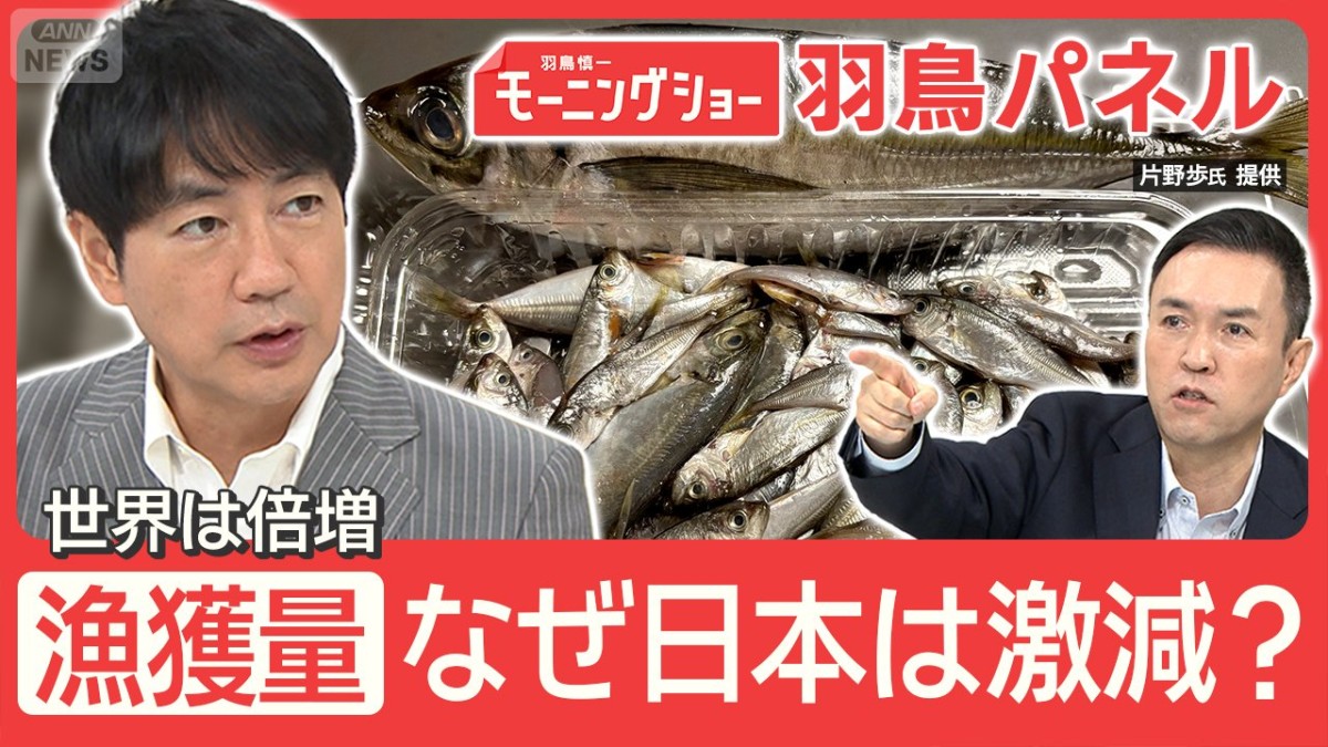 アジ サバ サンマ漁獲量激減 “小さな魚”取りすぎが一因！？日本漁業が抱える課題