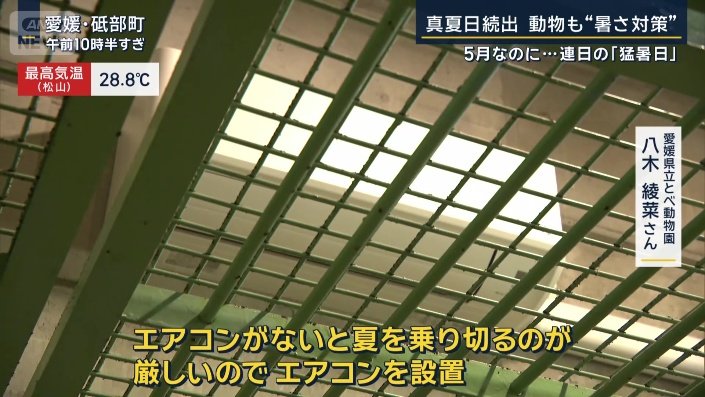 愛媛県立とべ動物園 八木綾菜さん
