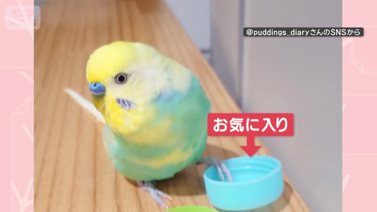 水色がお気に入り