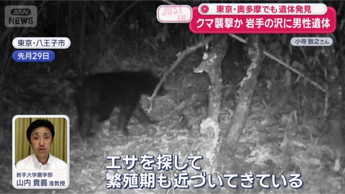 「1年で1番活発に動いている」