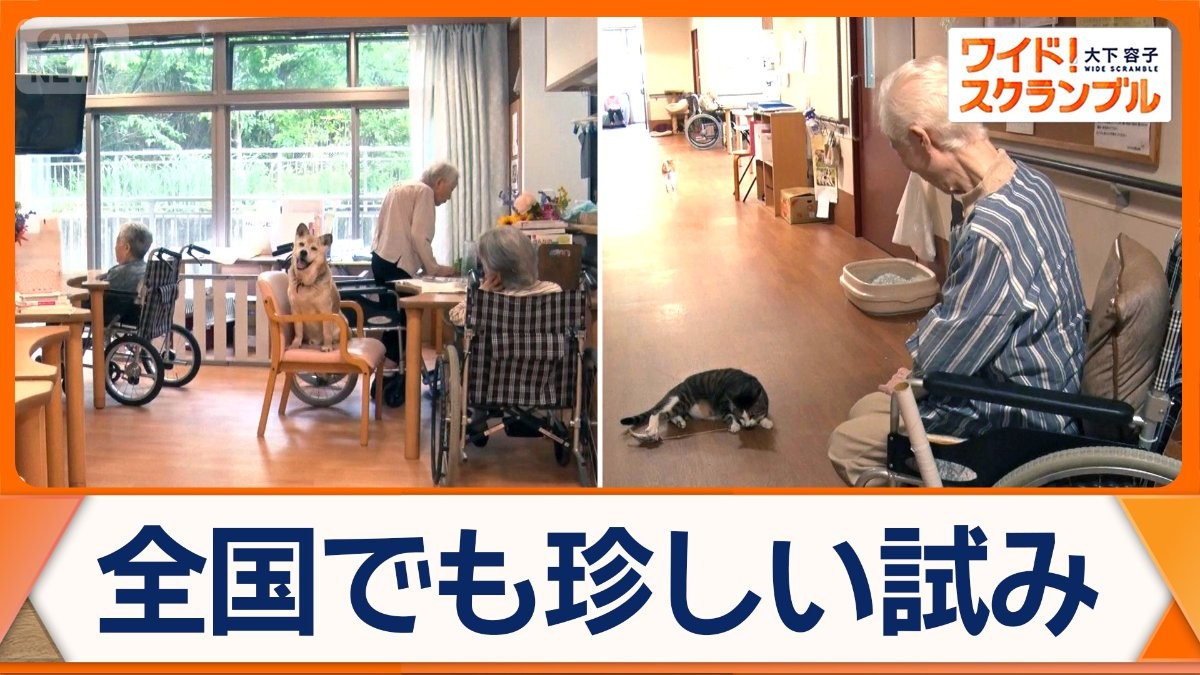 施設内にイヌやネコが…ペットと入所できる高齢者施設 多くで“禁止”も