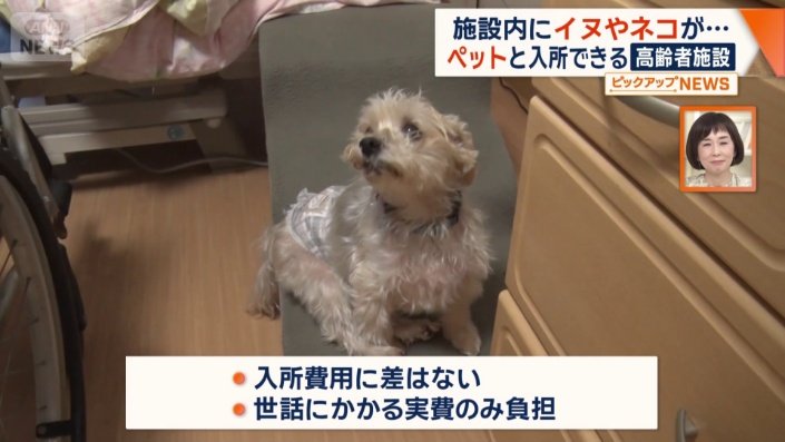 世話にかかる実費のみ負担