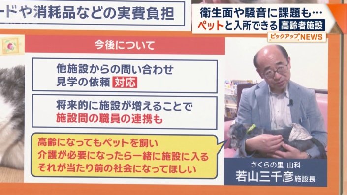 今後について