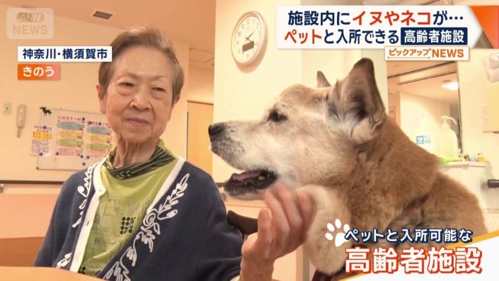 ペットと入所可能な高齢者施設
