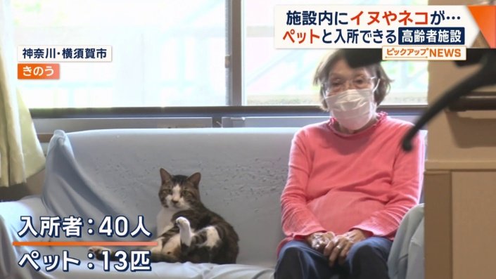 入所者40人が13匹のペットとともに生活