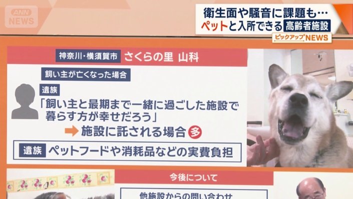 飼い主が先に亡くなった場合は？