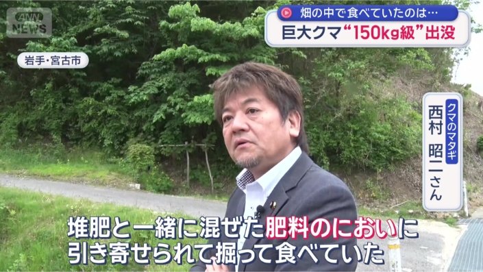 「クマは人間の嗅覚の5000倍」