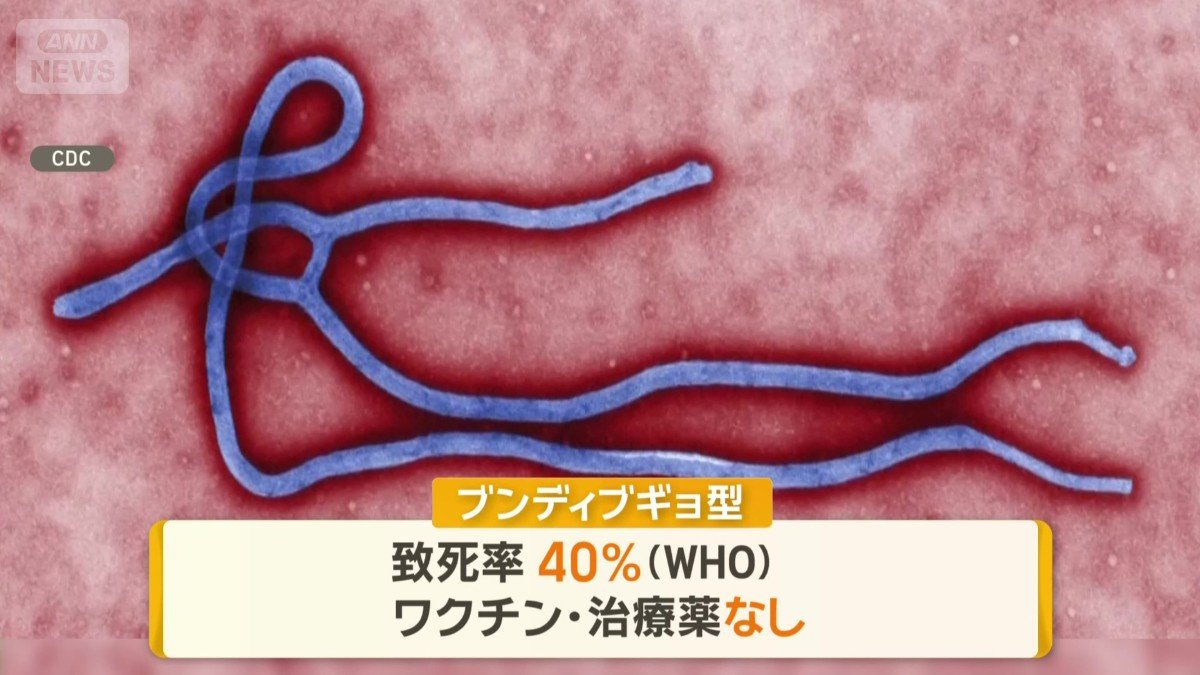 流行の「ブンディブギョ型」ウイルス