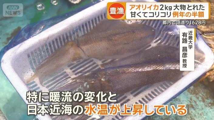 豊漁について