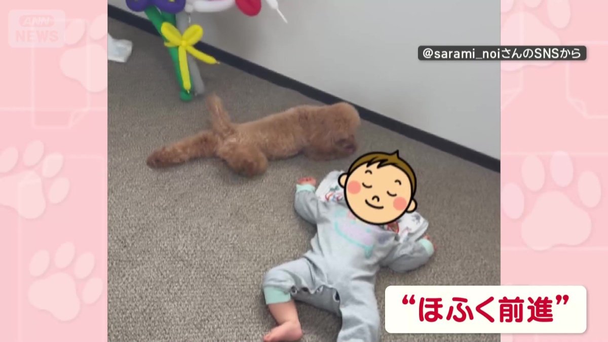赤ちゃんのそばをほふく前進
