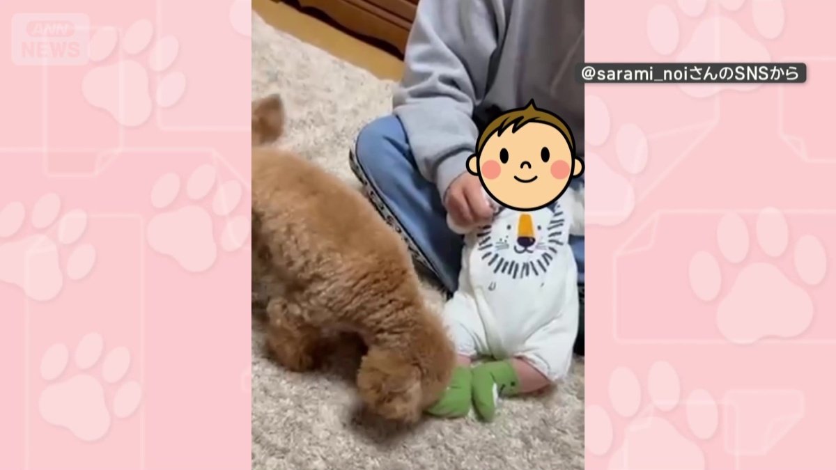 赤ちゃんに興味津々