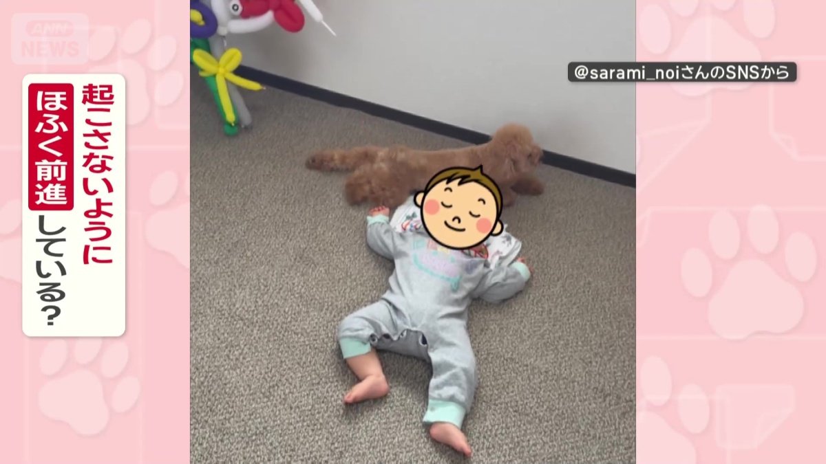 赤ちゃんを起こさないようにしてる？