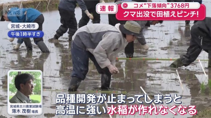 22日に外の作業を再開