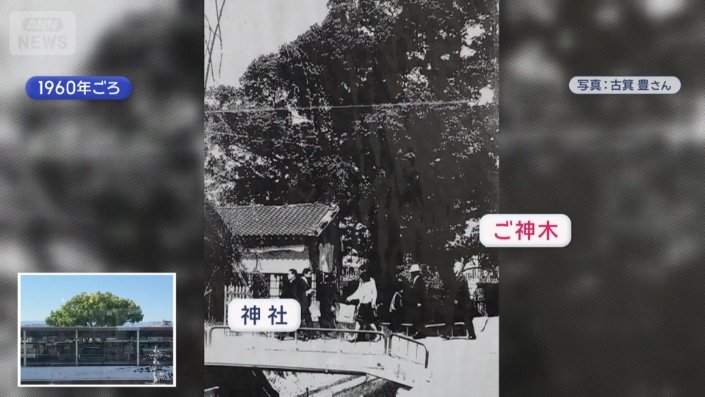 約70年前の写真
