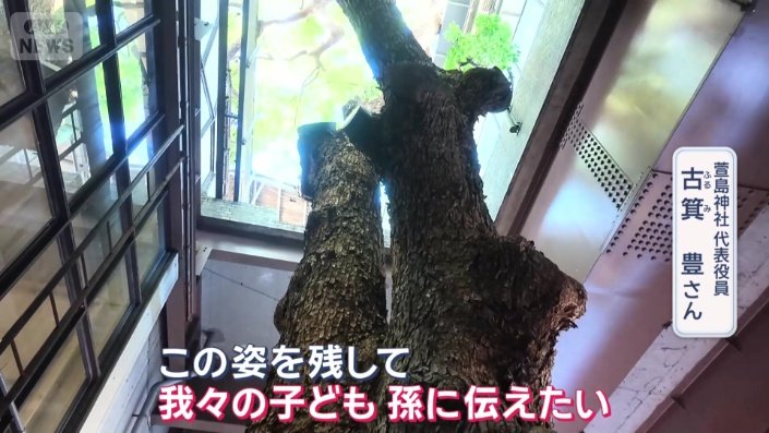 「先人が残してくれた遺産」