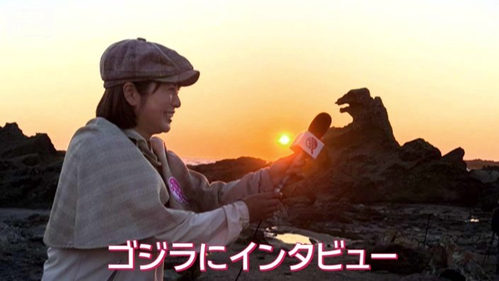 久保田アナベストショット