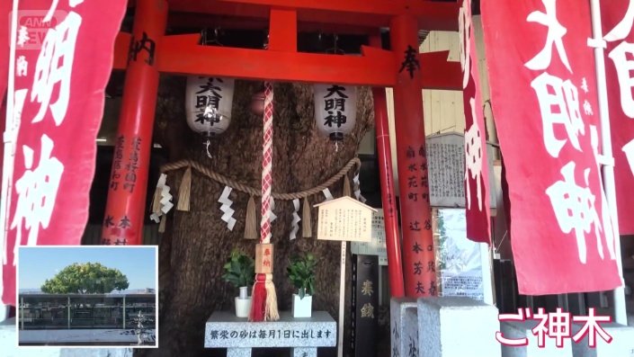 ご神木