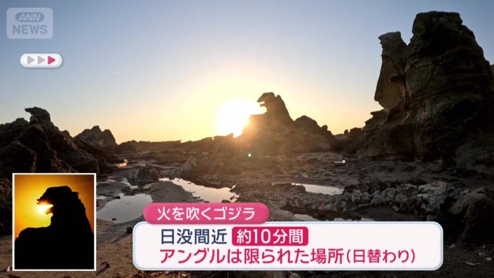シャッターチャンスはわずか10分間