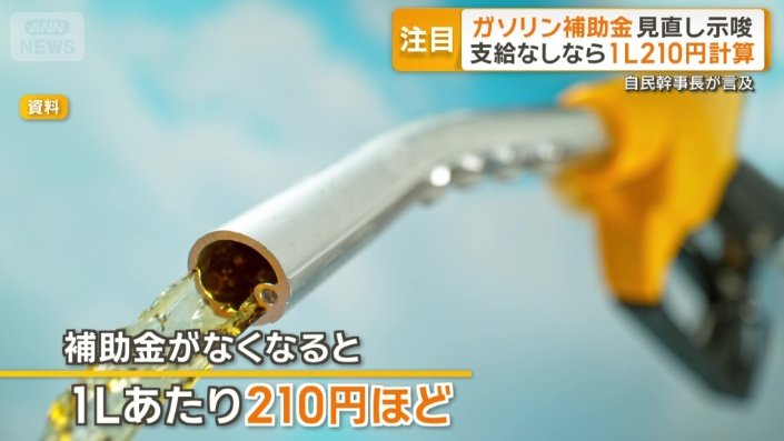 補助金がなくなると...
