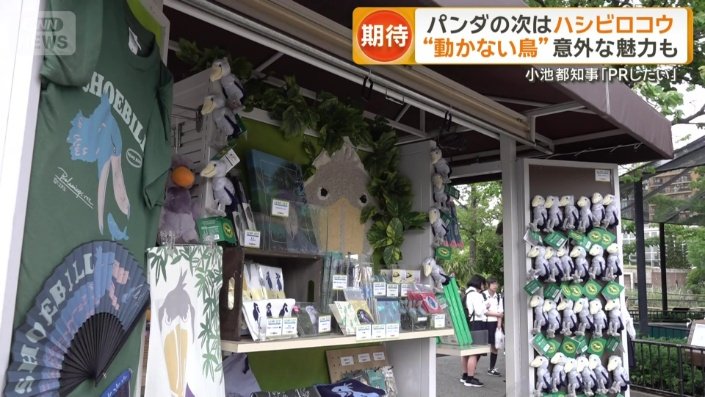 ハシビロコウグッズ
